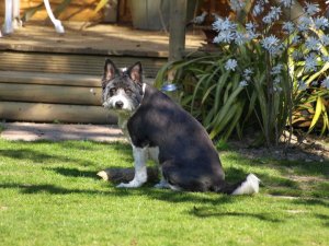 25872_436134932817_6012124_n