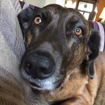 66e5cb02-4aec-4876-a6c6-a8134d8a3a45